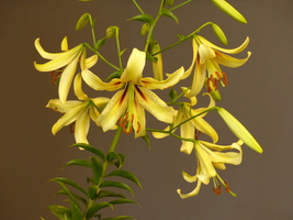 Foto: Dr. Peter Müller